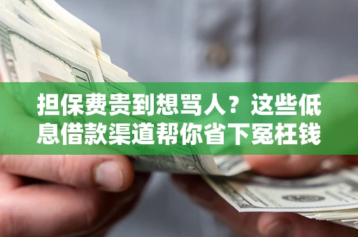 北京担保费贵到想骂人？这些低息借款渠道帮你省下冤枉钱